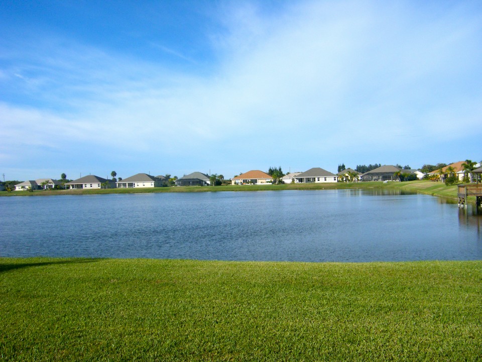 view from backyard