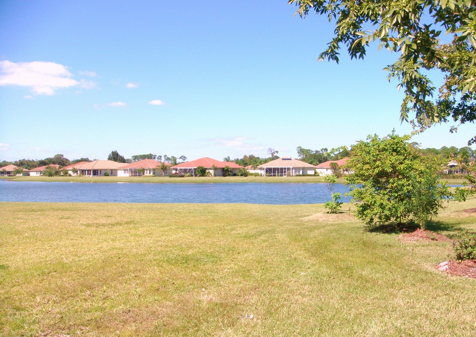 view from backyard