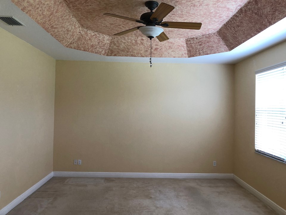 master bedroom with tray ceiling