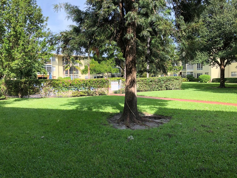 courtyard & walk way to pool