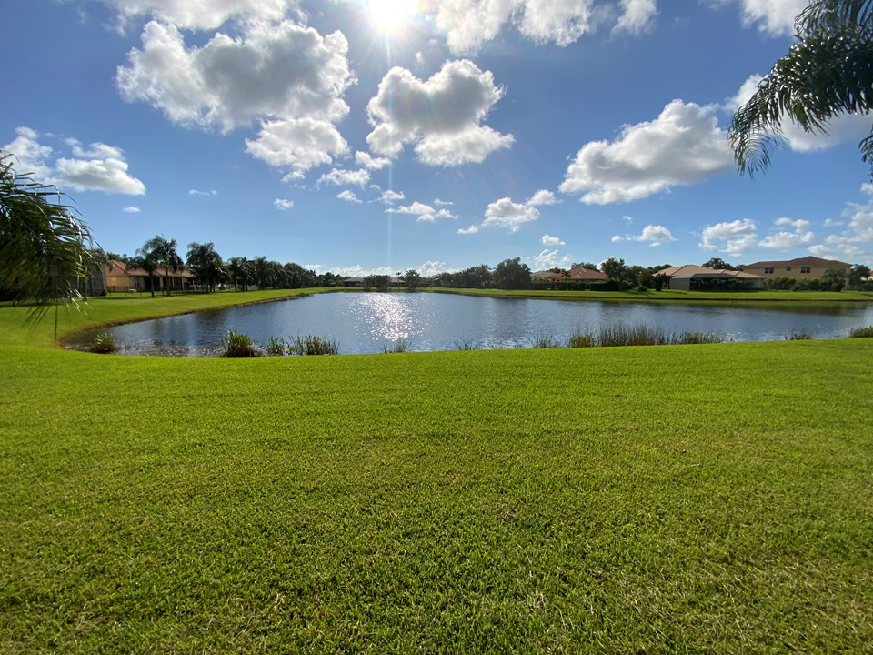 backyard facing east