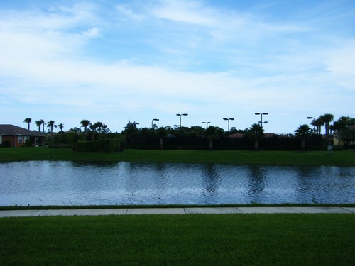 backyard view
