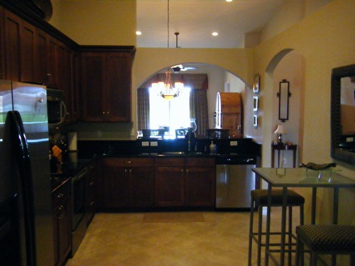 view from kitchen to great room