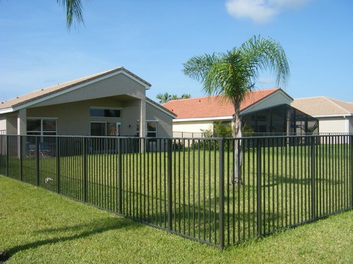 rear view of yard