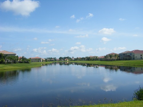 view from backyard