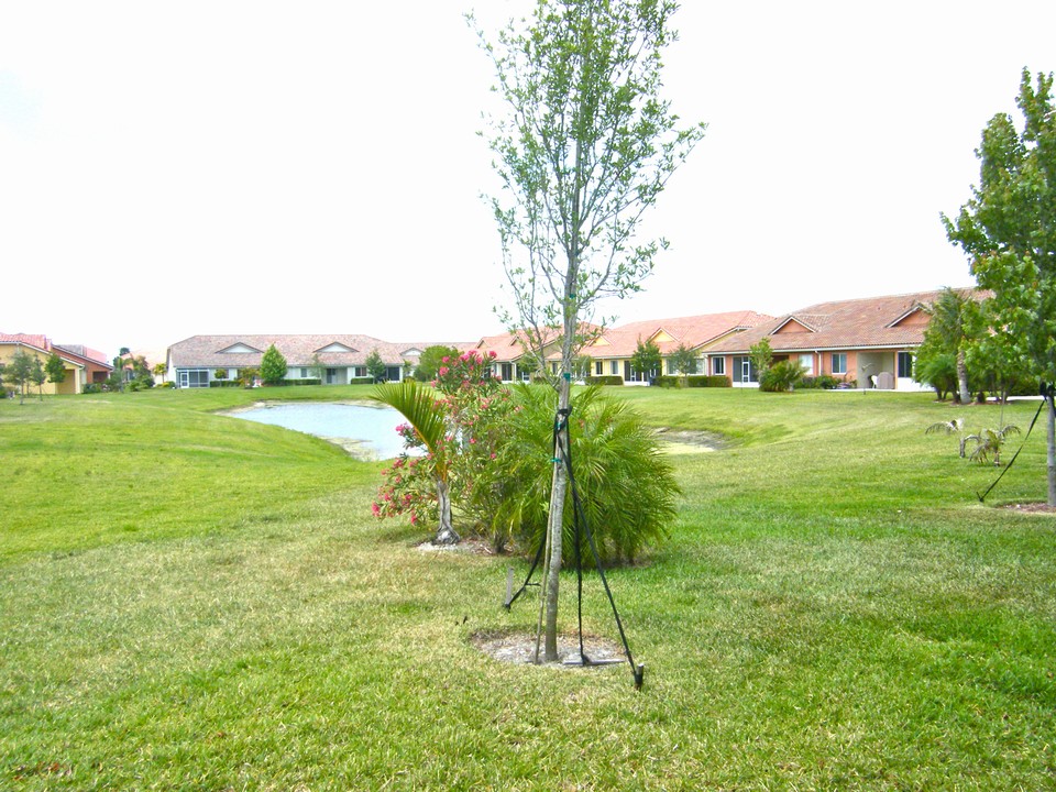 backyard view