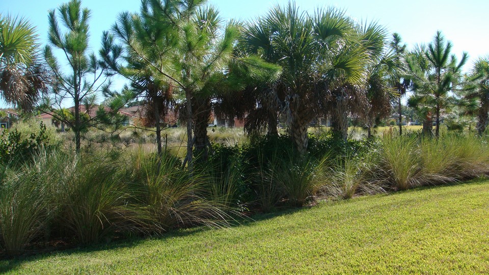 preserve view in backyard