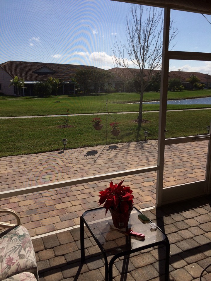 view from patio