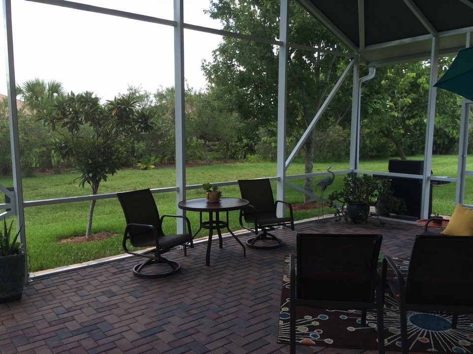 backyard view