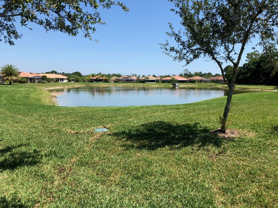 view of lake