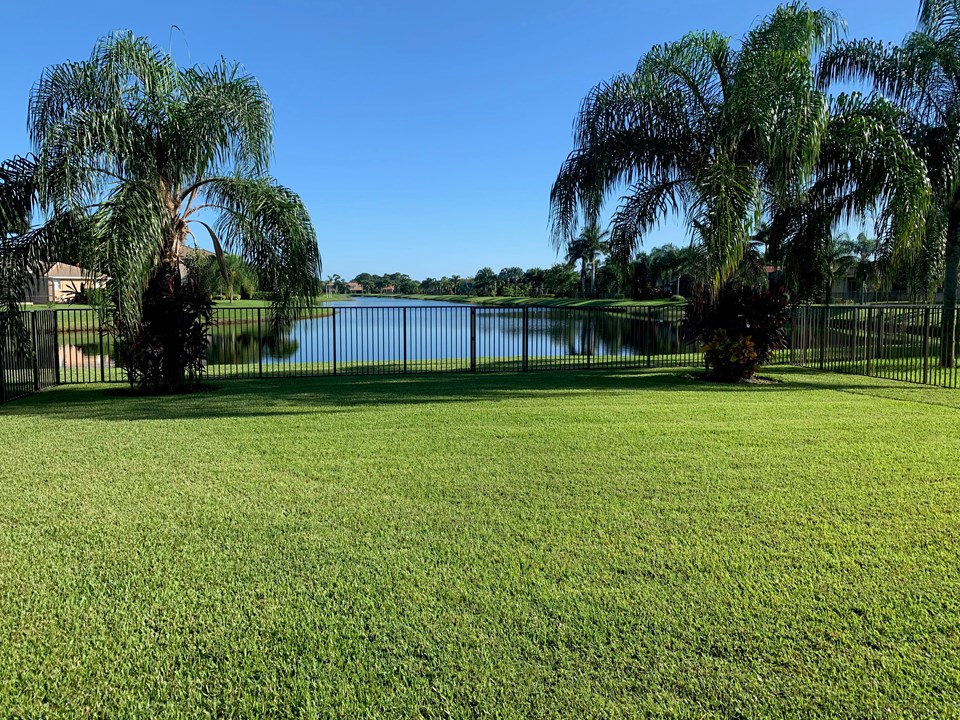 long lake view & fenced yard