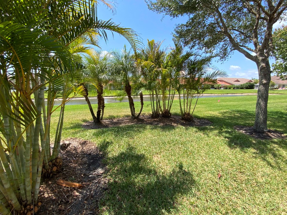 view of backyard & lake