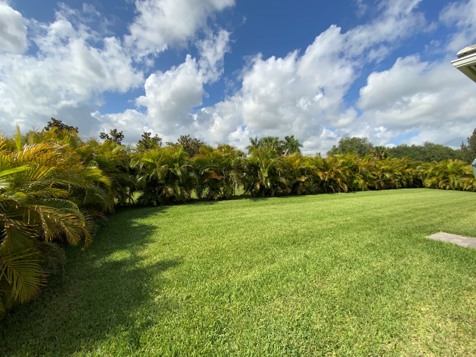 private backyard