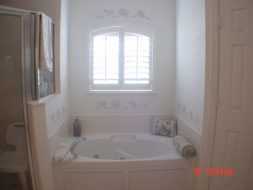 master bath/jacuzzi tub
