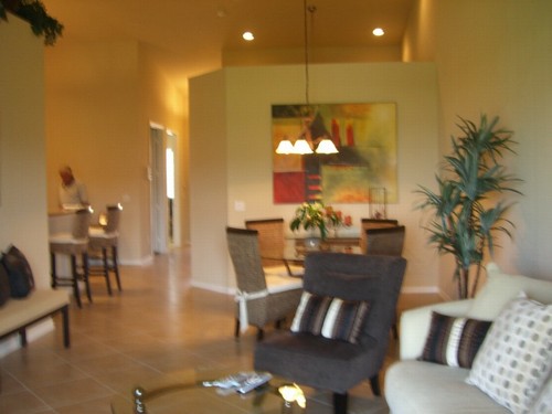 living/dining room