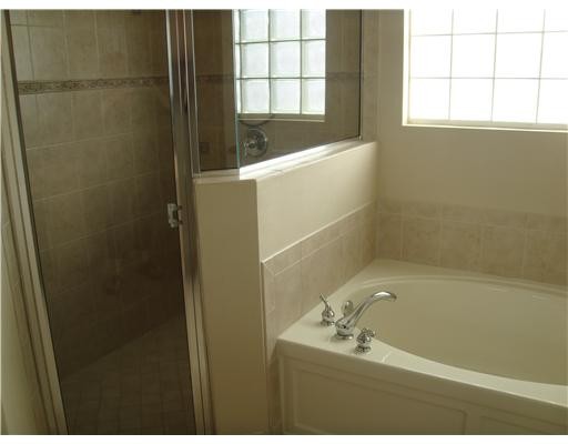 tub and shower in master bathroom