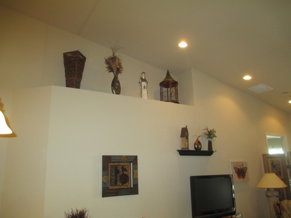 vaulted ceiling, plant shelf in living room