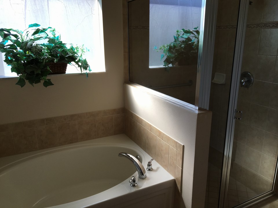 roman tub and separate shower