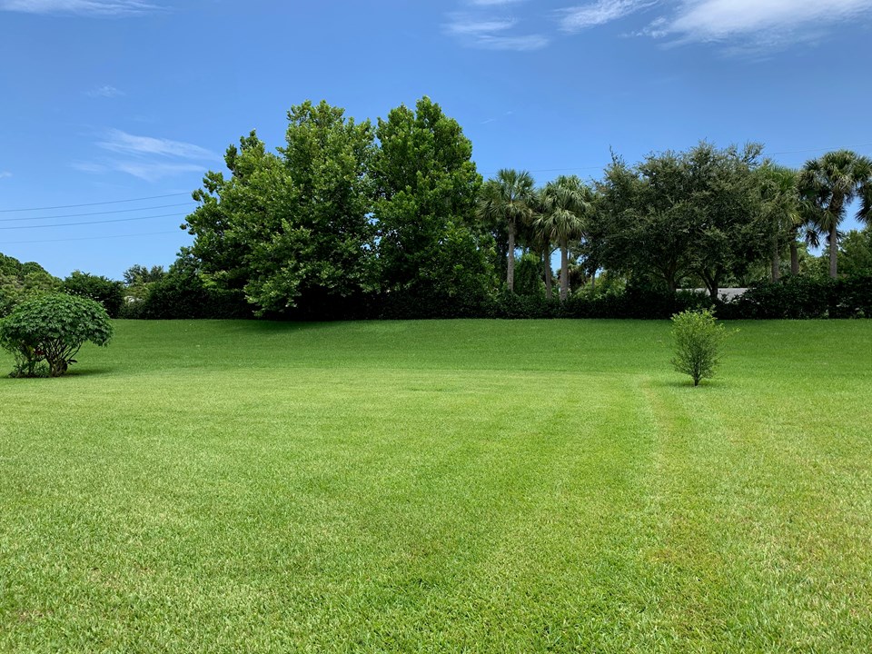large- private backyard