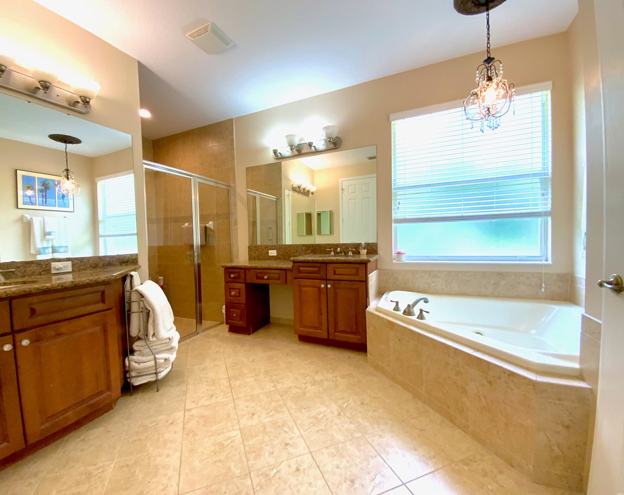 master bathroom-tub & separate shower