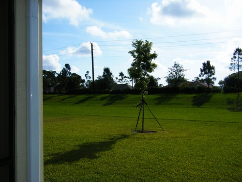 large private lot