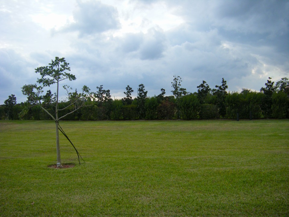 view from patio