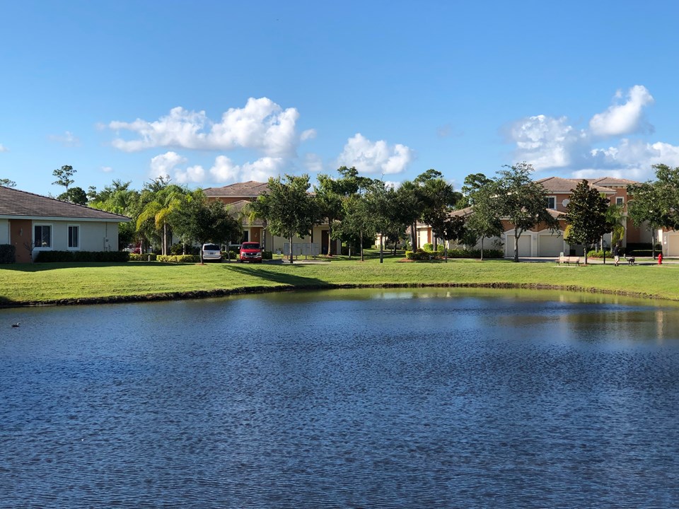 back view-lake
