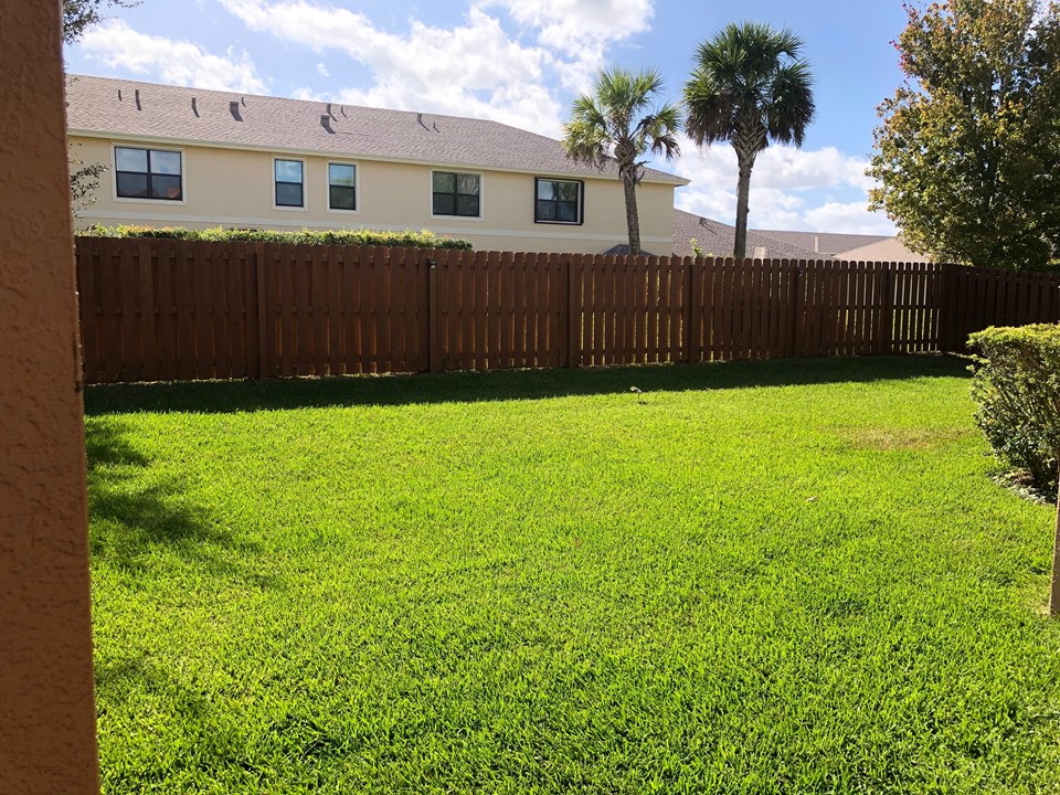 fenced yard