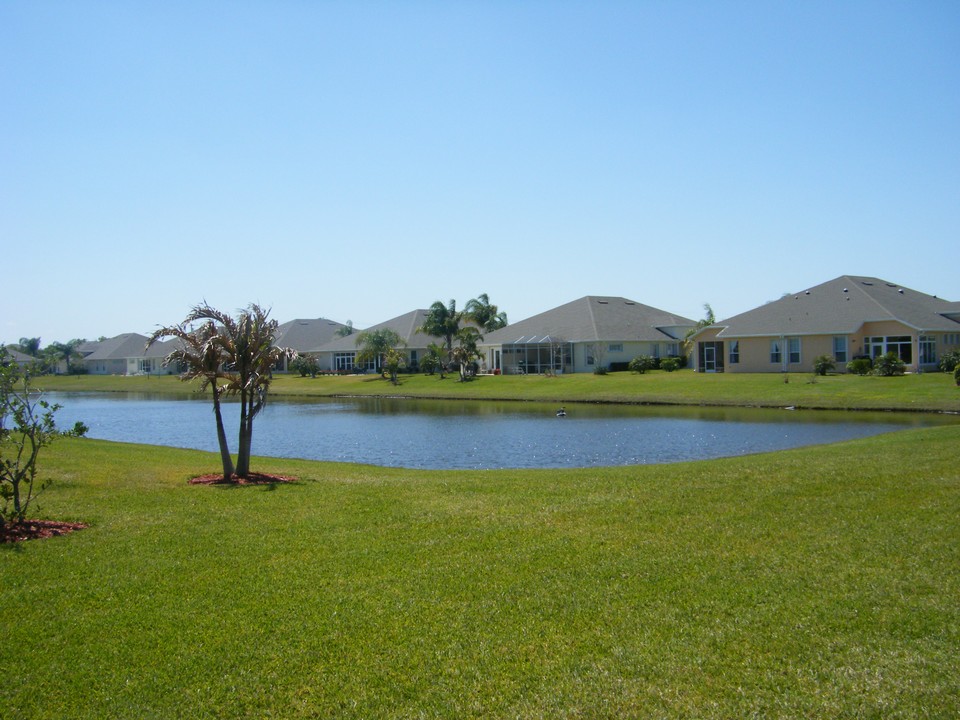 view from patio