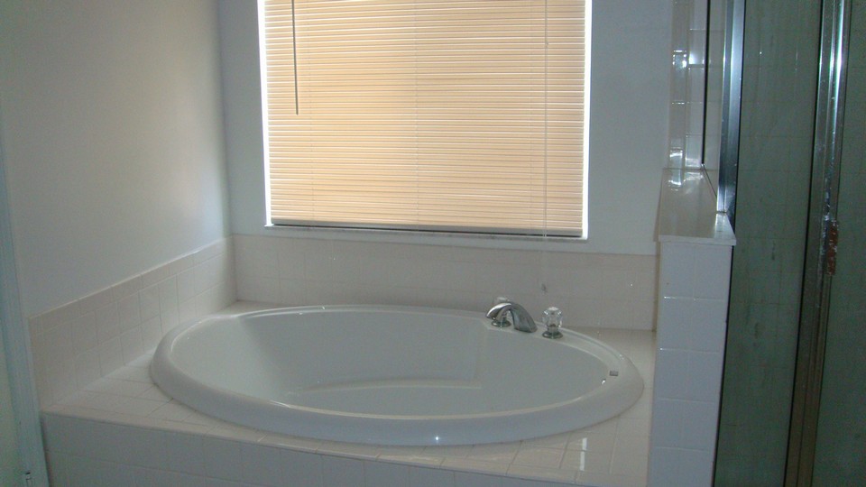 roman tub & separate shower