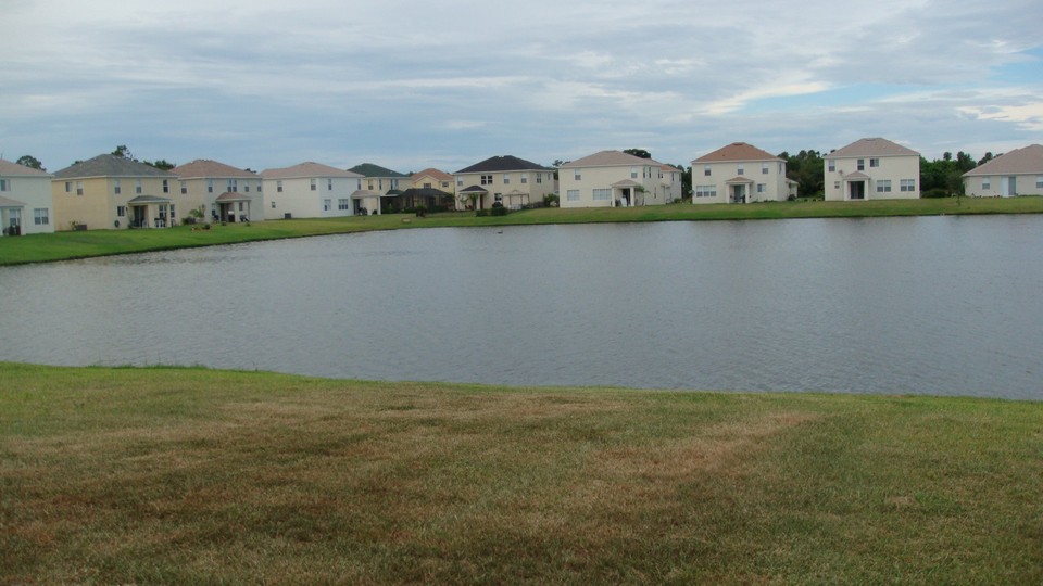 view from backyard