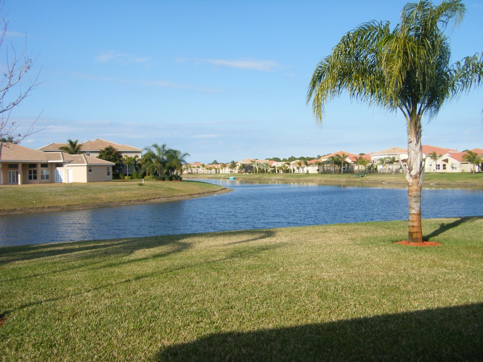 view from backyard
