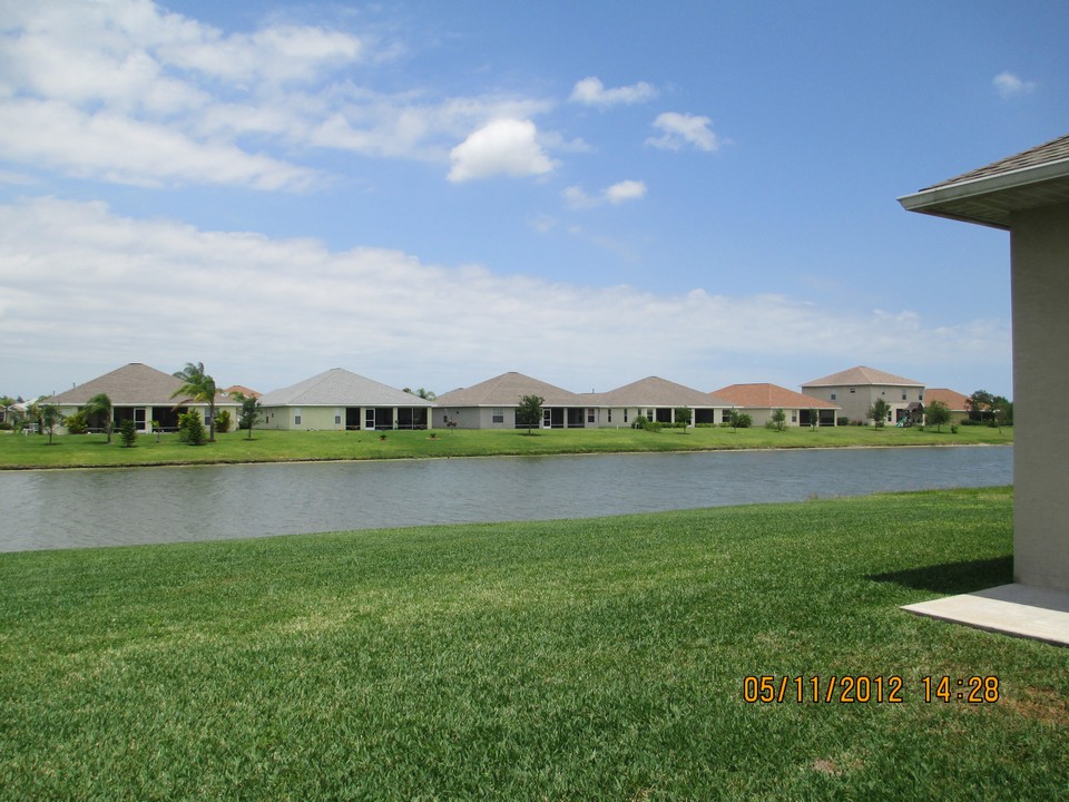 view from backyard