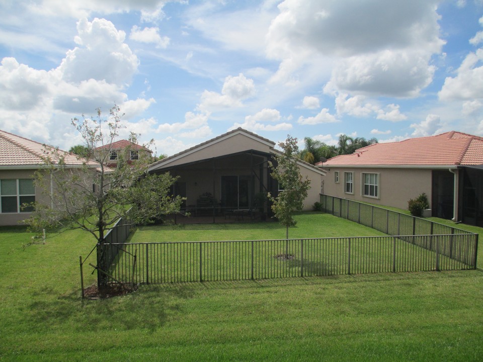 view of backyard