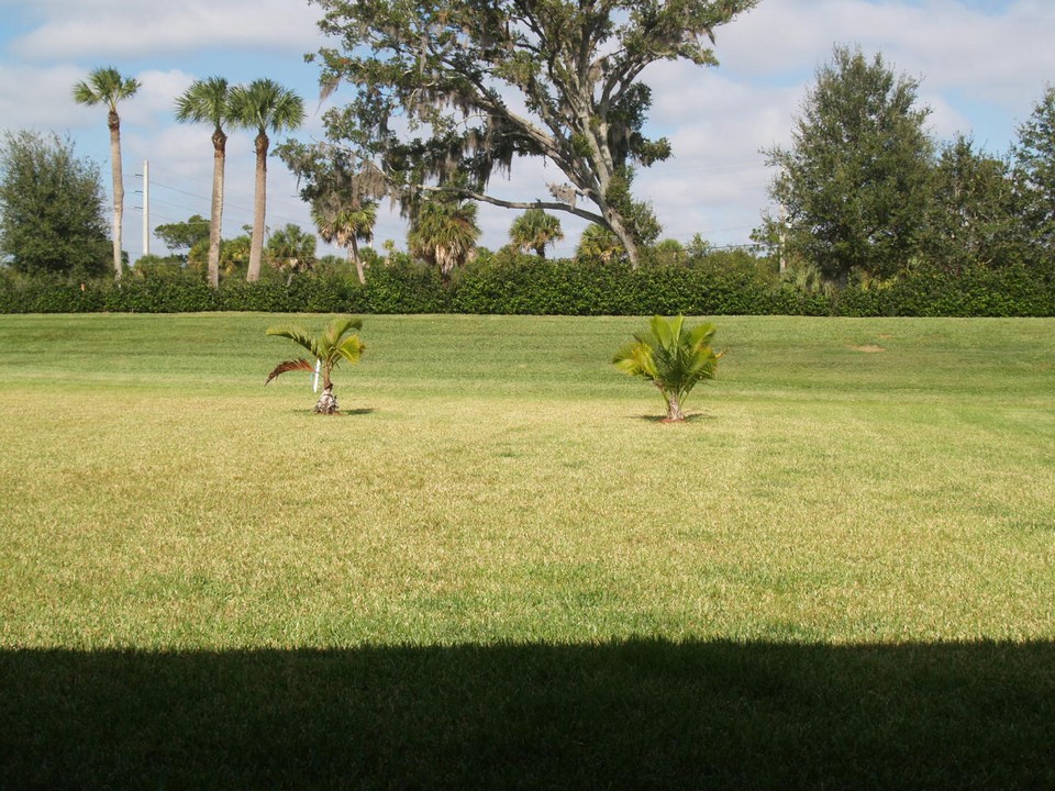 large-private backyard