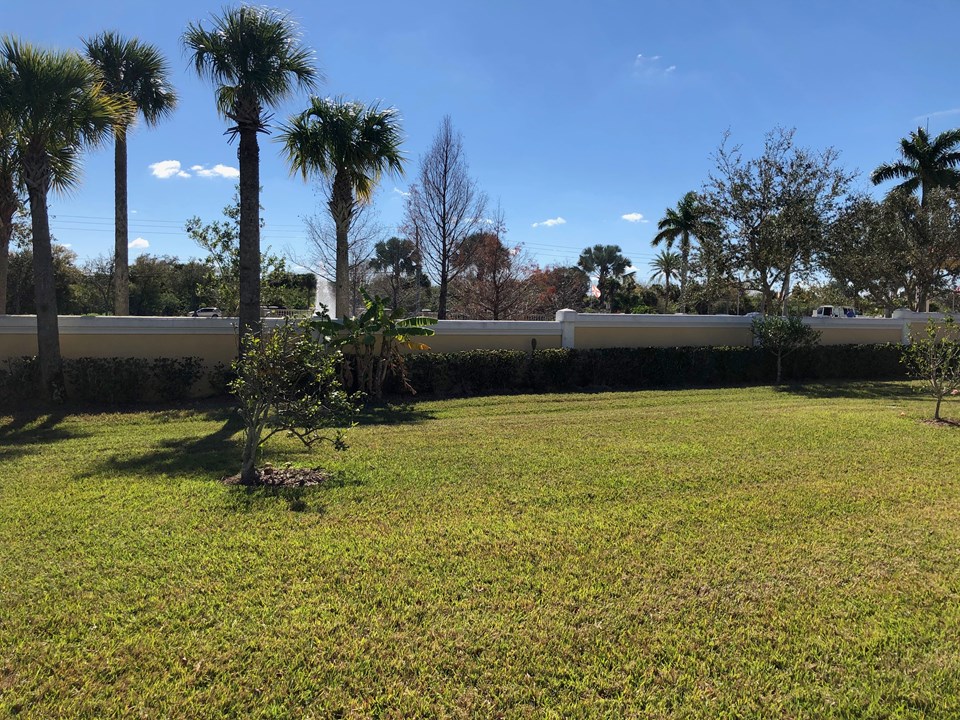 spacious private yard