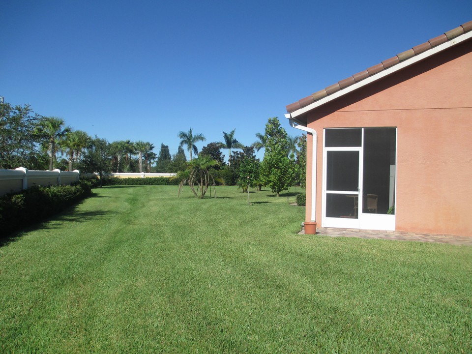 backyard view