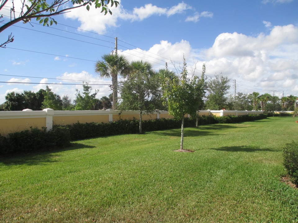 open green space view
