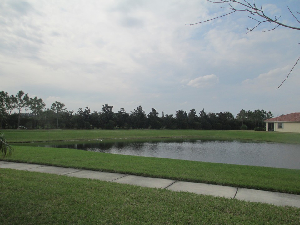 view from patio