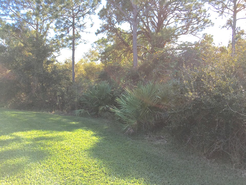 private preserve area backyard