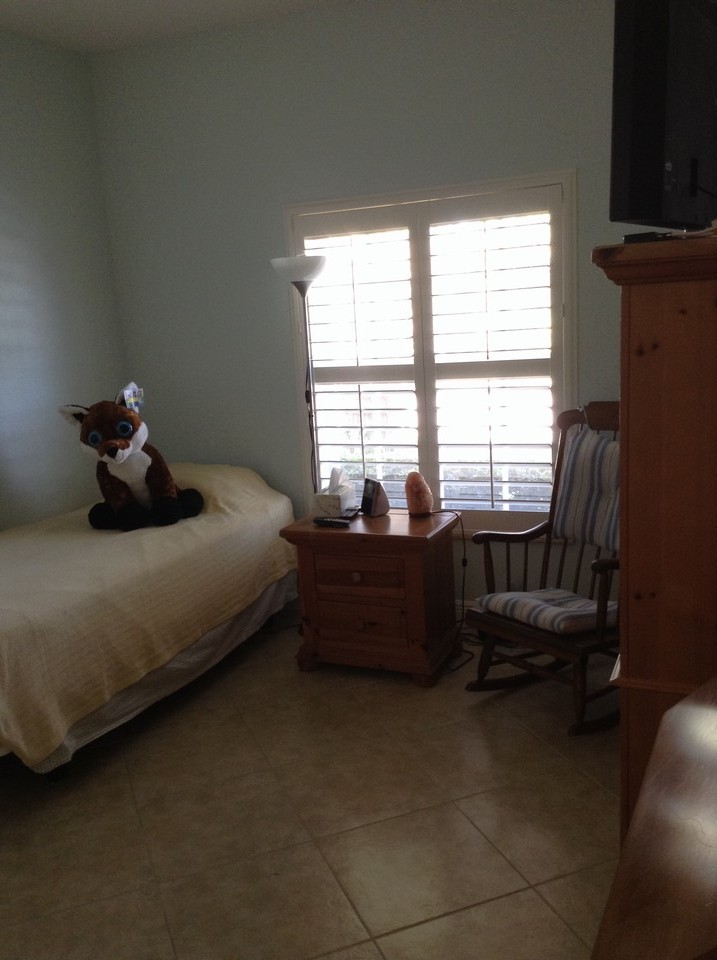 guest bedroom #2