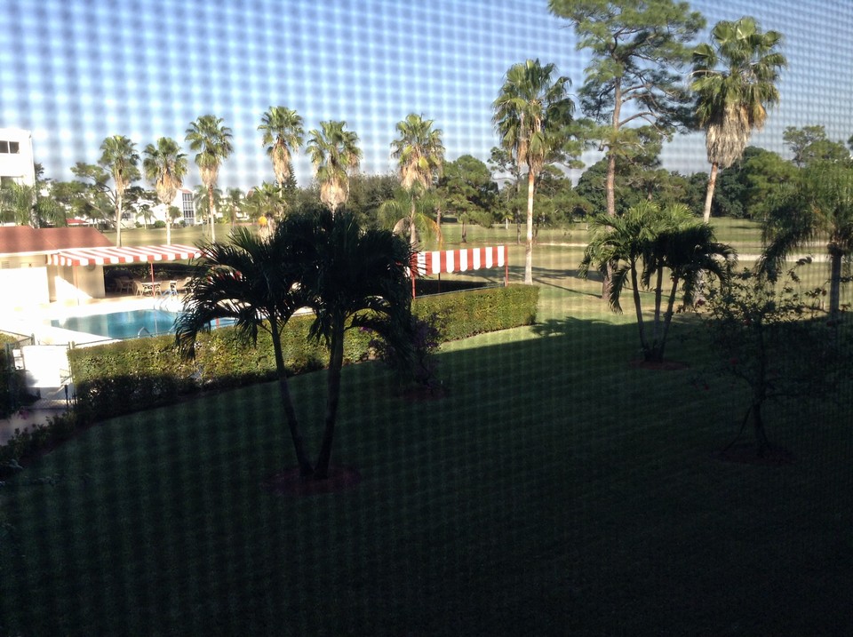 view from condo