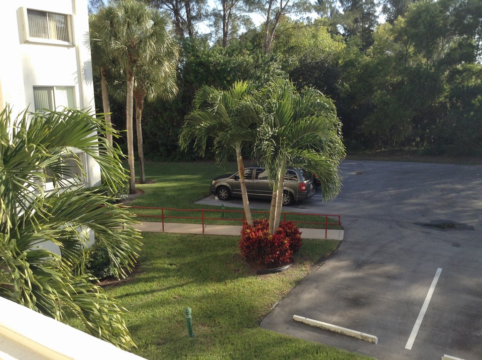 view from front doorway