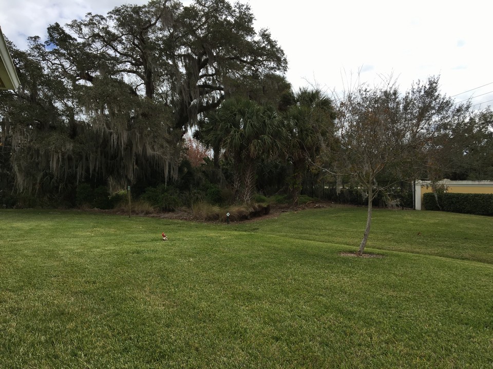 view from backyard