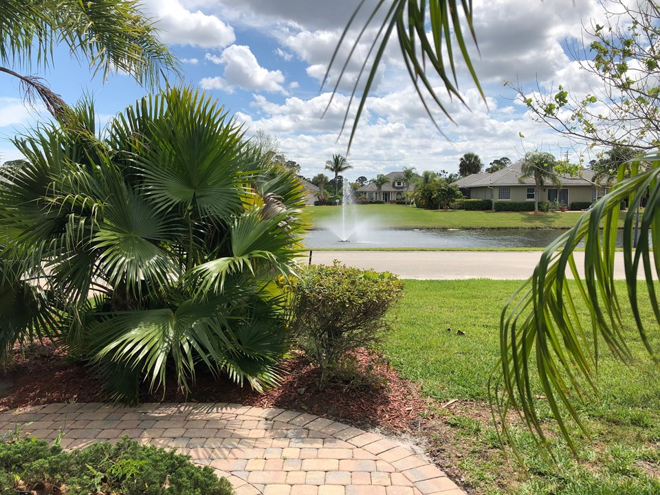 view from front door!