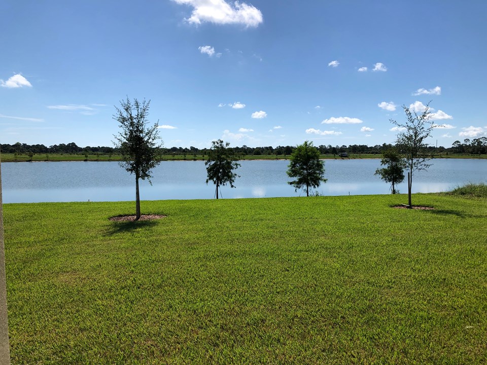 view from patio