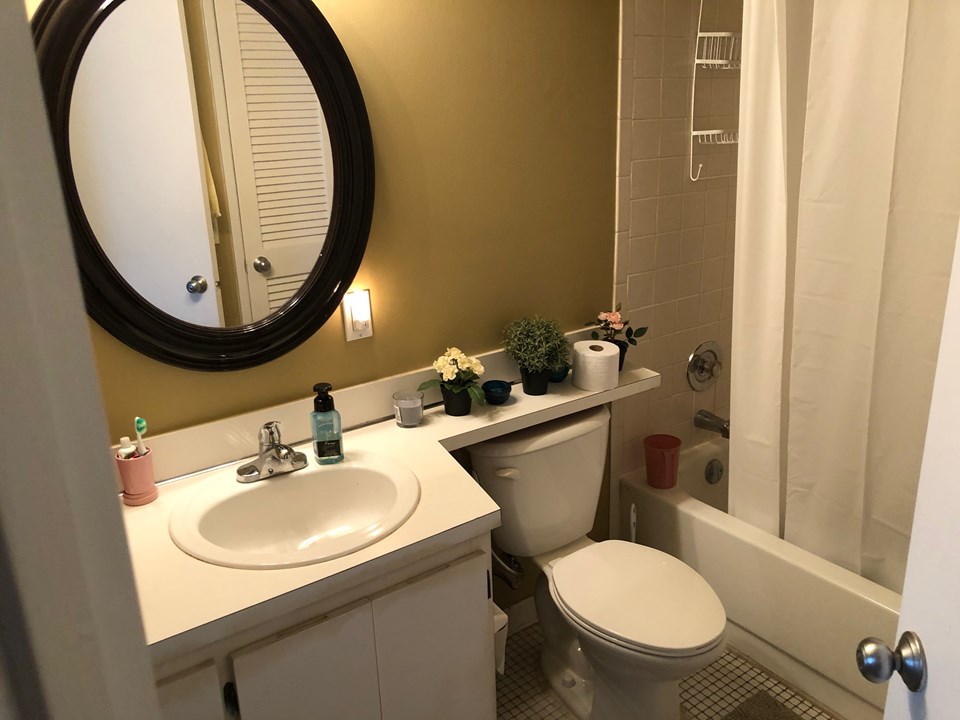 guest bath
