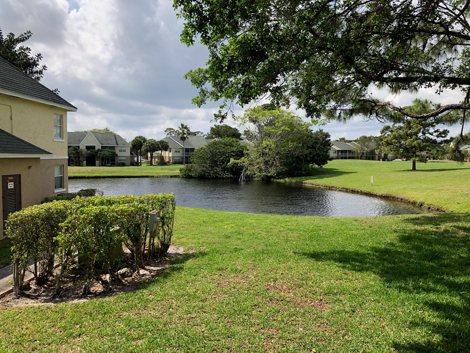 lake view