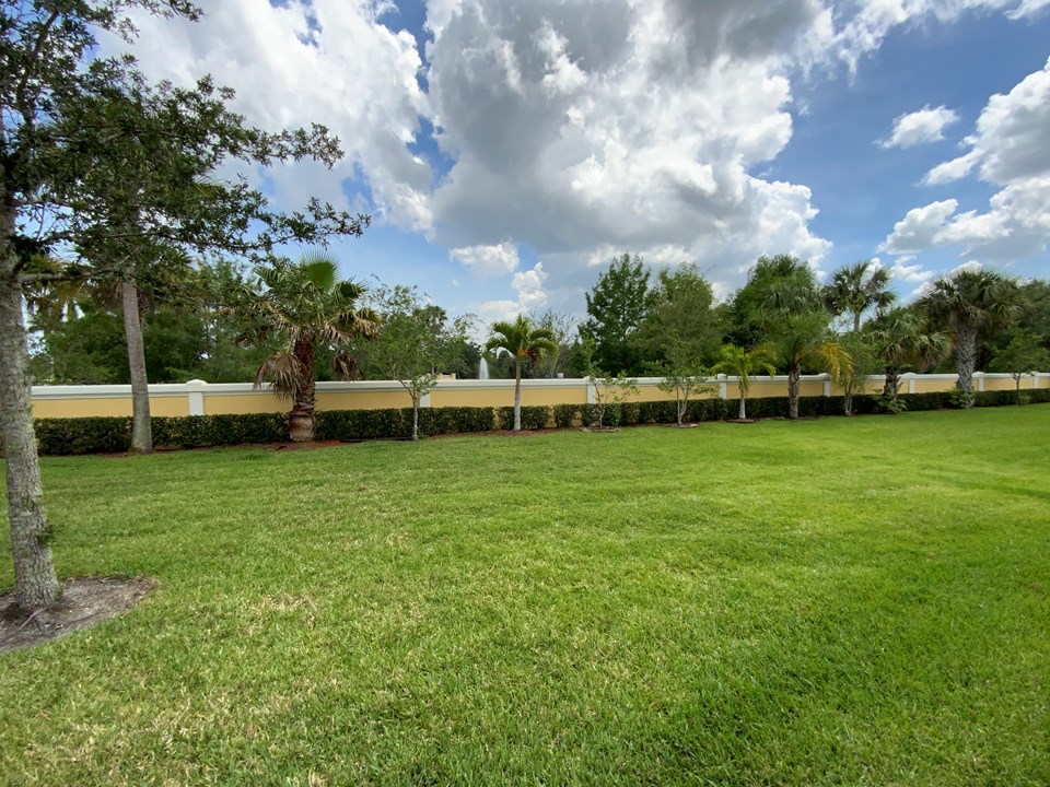 view from patio