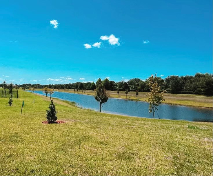 lake view